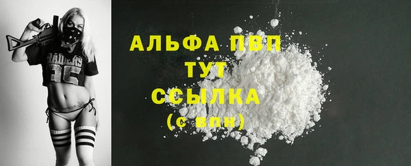 крисы Алексин