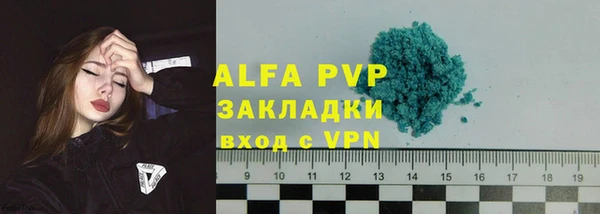 крисы Алексин