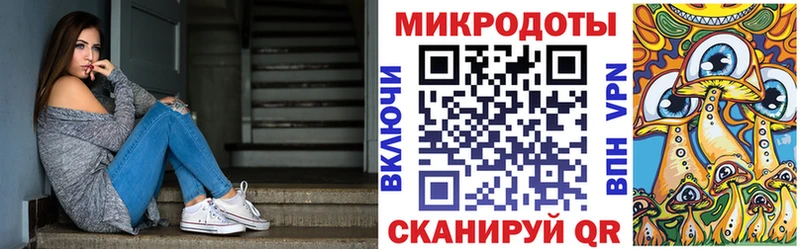 Галлюциногенные грибы Psilocybe  Берёзовка 