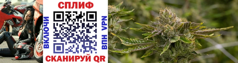 кракен tor  магазин    Берёзовка  Бошки Шишки OG Kush 
